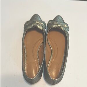 Elegant Metallic Flats